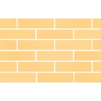 Кирпич лицевой Ваниль Гладкий 1НФ (пр-во г. Томск) ГОСТ